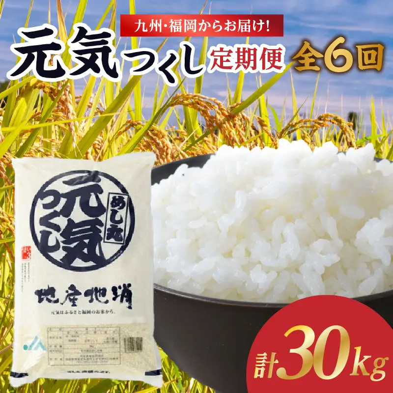 九州・福岡からお届け！ブランド米「元気つくし」定期便【全6回】 お米 米 コメ 白米 特A 直送 お弁当 おにぎり 炊きたて ツヤ 粘り もちもち 弾力 卵かけご飯 福岡県 八女市 072-T158