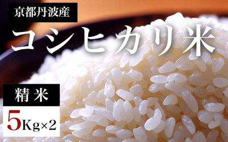 令和7年度産 京都丹波産 コシヒカリ米 精米 (5kg×2セット) ふるさと納税 福知山市 米 精米 コシヒカリ こしひかり 【fc-DF002】【スミちゃんファーム】