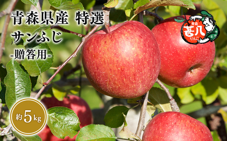 【レビューキャンペーン】４月発送　特選　甚八りんごサンふじ5kg　【青森県 平川市 マルジンサンアップル】[hi-0058-053-4]