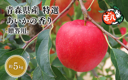 【レビューキャンペーン】１２月発送　特選　甚八りんごあいかの香り５kg　【青森県 平川市 マルジンサンアップル】 [hi-0058-065-12]