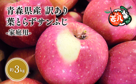 【レビューキャンペーン】２月発送 訳あり 家庭用 甚八りんご 葉とらずサンふじ３kg【青森県 平川市 マルジンサンアップル】 [hi-0058-085-2]