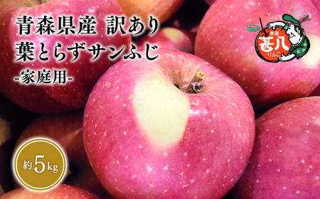 【レビューキャンペーン】２月発送 訳あり 家庭用 甚八りんご葉とらずサンふじ5kg 【青森県 平川市 マルジンサンアップル】 [hi-0058-086-2]