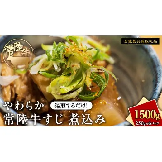やわらか 常陸牛 すじ 煮込み 250g × 6パック (計 1500g )【茨城県共通返礼品】