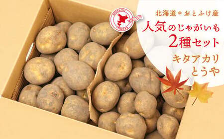[先行受付] 北海道おとふけ産 人気のじゃがいも 2種セット「キタアカリ・とうや」合計9kg 【B73】《2026年10月下旬より発送開始予定》