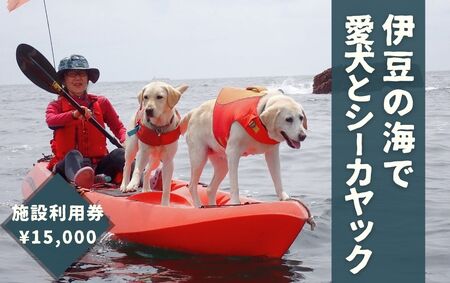 愛犬と一緒にシーカヤック 湊カフェ＆Pirates 施設利用券〈15,000円分〉　【 カヤック カヤック カヤック カヤック カヤック 犬 犬 犬 】