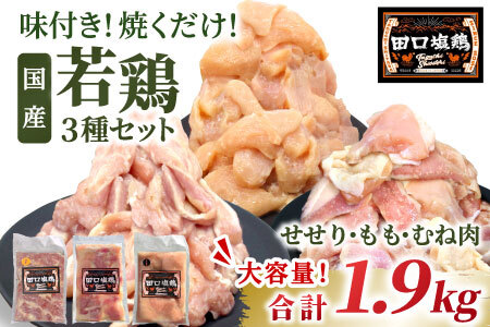 国産 若鶏味付け肉 3種セット 1.9kg（もも肉250g×4・むね肉250g×2・せせり200g×２）せせり もも むね 塩ダレ 味付け肉 鶏肉 鶏 肉 キャンプ バーベキュー 大容量 地鶏 焼肉 焼き鳥 田口塩鶏 若鶏 奥三河どり 20000円 20,000円 -172