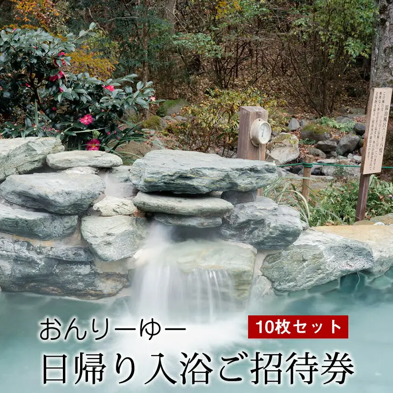 おんりーゆー 日帰り入浴ご招待券 10枚セット【温泉 サウナ お風呂 結婚記念日 敬老の日 ギフト プレゼント 利用券 神奈川県 南足柄市 】