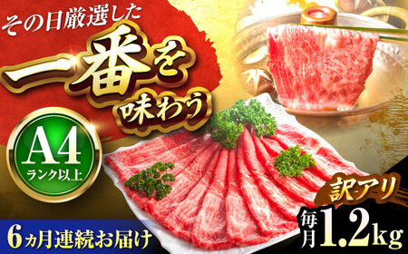 【全6回定期便】訳あり 博多和牛シャブシャブ用1.2kg[BGAB090] 黒毛和牛 牛しゃぶ 牛肉