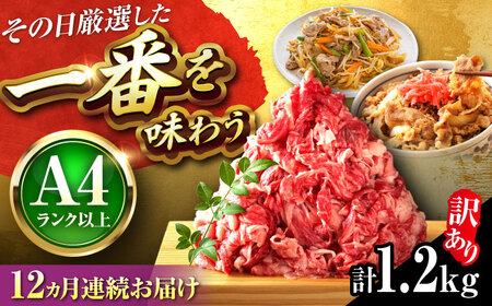 【全12回定期便】【訳あり】博多和牛 切り落とし 1.2kg(600g×2P)[BGAB094]人気 定期便