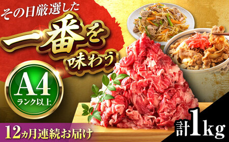 【全12回定期便】博多和牛 切り落とし 1kg(500g×2P)[BGAB103]定期便 おすすめ