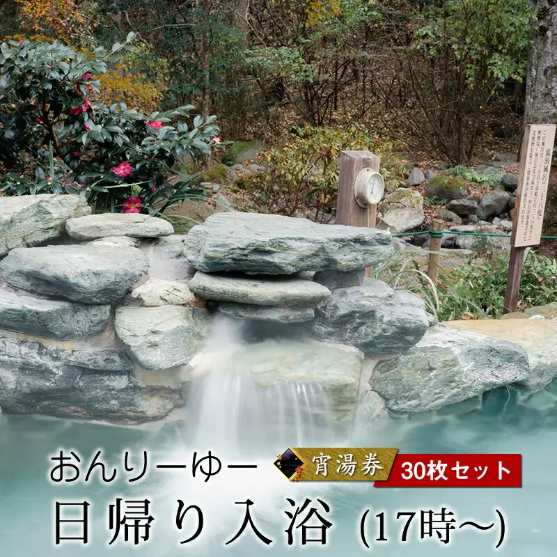 おんりーゆー 日帰り入浴(17時～) 宵湯券 30枚セット【温泉 サウナ お風呂 結婚記念日 敬老の日 ギフト プレゼント 利用券 神奈川県 南足柄市 】