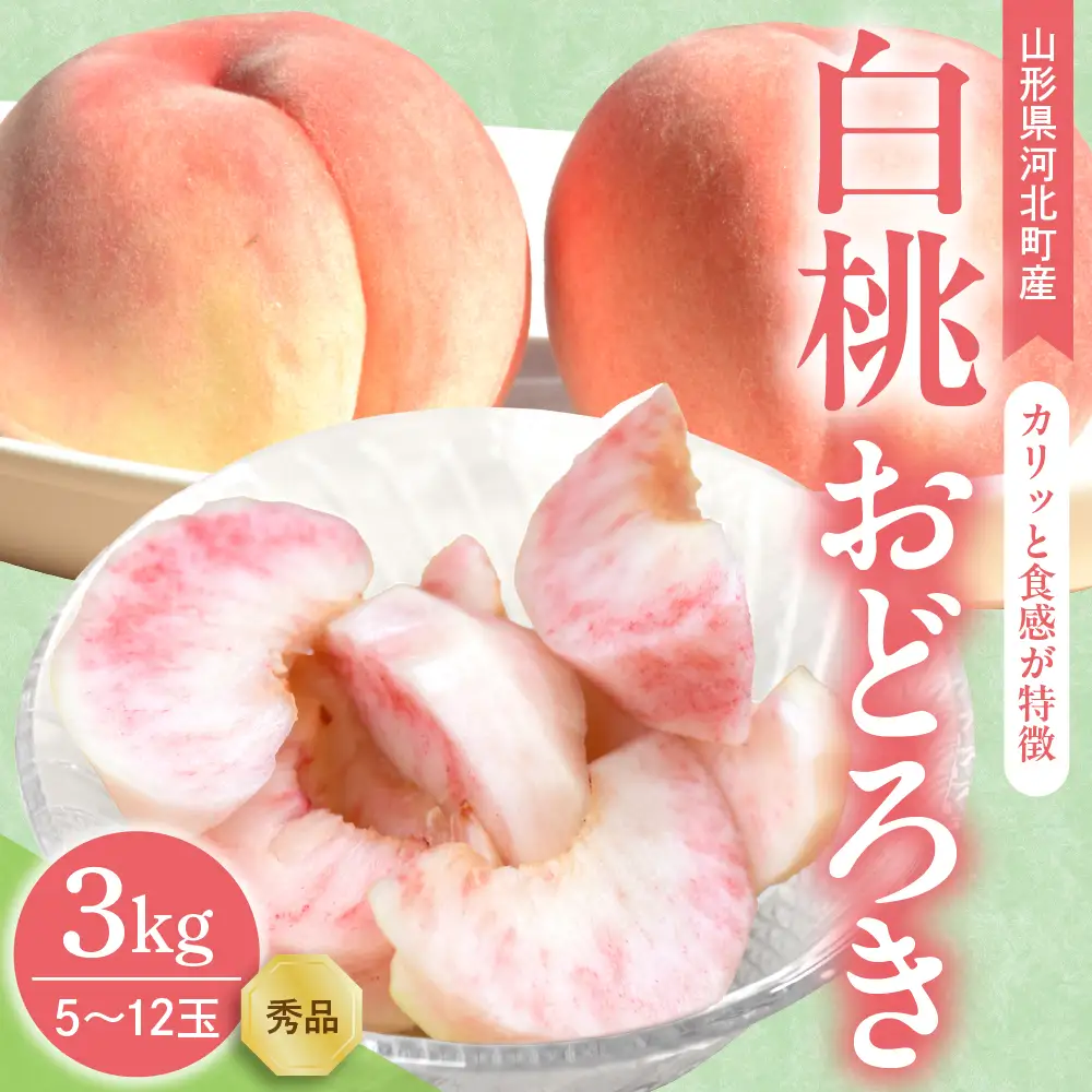 桃 白桃 おどろき 3kg ギフト用 令和8年産 桃 フルーツ