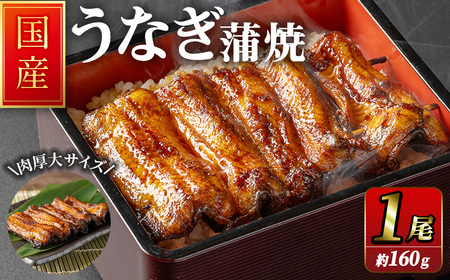 職人手焼き 国産うなぎ蒲焼 約160ｇ 肉厚 大サイズ 特大 鰻 ウナギ 蒲焼き 【逢隈亭】sh099