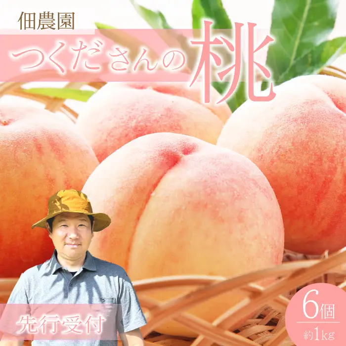 【先行受付】つくださんの桃 6個 約1kg もも モモ 果物 フルーツ 夏 広島県三原市 210001