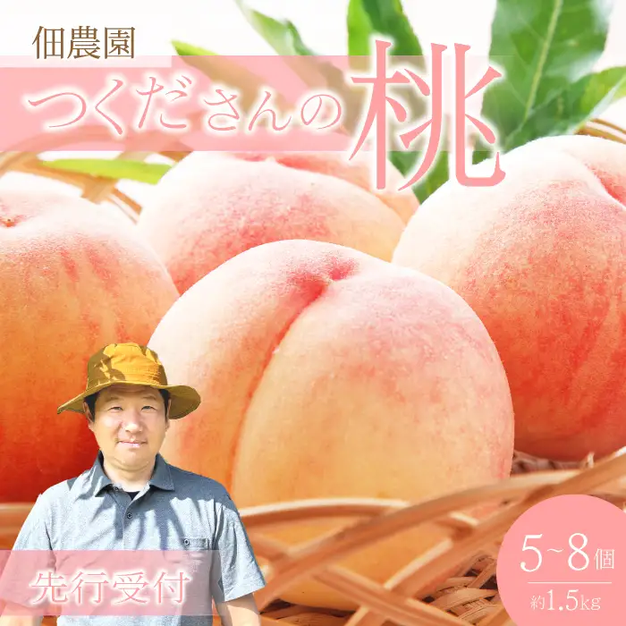 【先行受付】つくださんの桃 5～8個 約1.5kg もも モモ 果物 フルーツ 夏 広島県三原市 210002