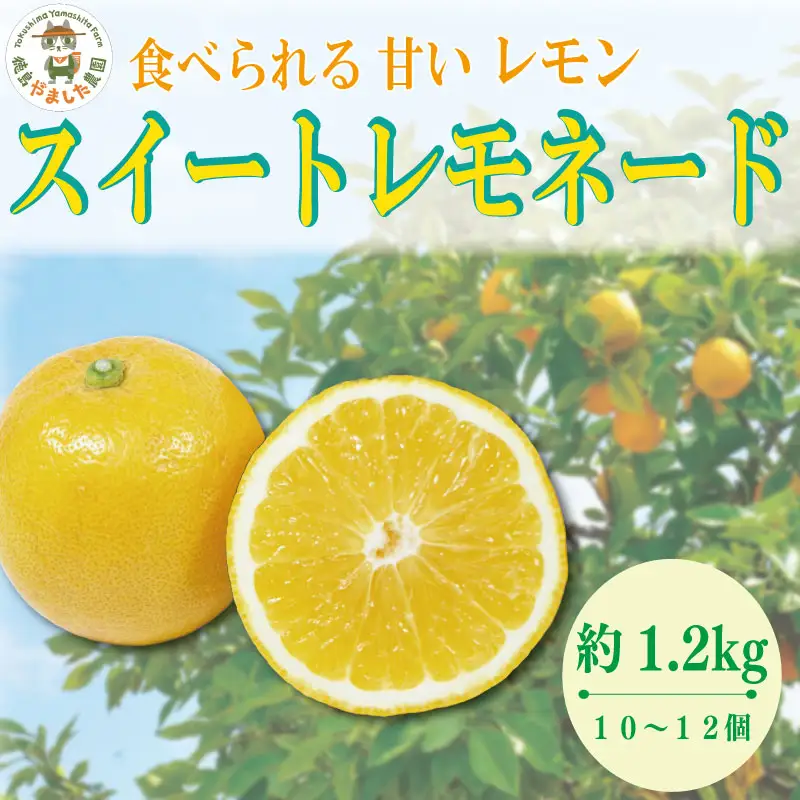【2026年10月順次発送】 スイートレモネード 1.2kg (10～12個) レモン れもん 檸檬 柑橘 フルーツ 果物 完熟 国産 新鮮 果汁 レモン スイートレモネード  スイートレモネード  スイートレモネード 