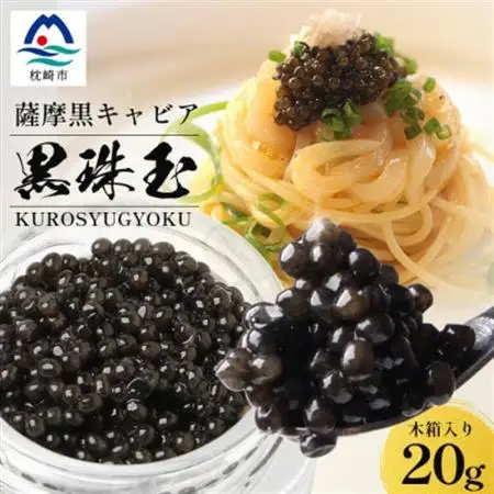 【数量限定】薩摩黒キャビア黒珠玉 鹿児島水産高校 枕崎キャビア【木箱入り】【20g×1箱】 C3-2【配送不可地域：離島】【1614940】