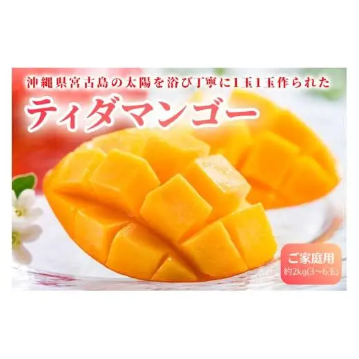 【先行予約】2026年発送　沖縄県宮古島・完熟マンゴー2kg【ご家庭用】ティダマンゴー宮古島農園（AI003）