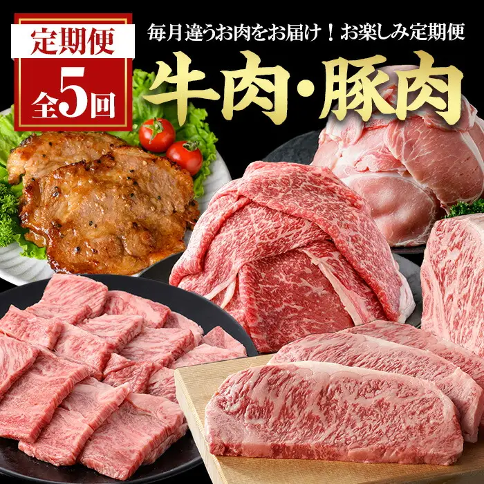 ＜定期便・全5回(連続)＞毎月違うお肉をお届け！お楽しみ定期便 (合計2.66kg以上) 牛肉 豚肉 【ナンチク】 T47