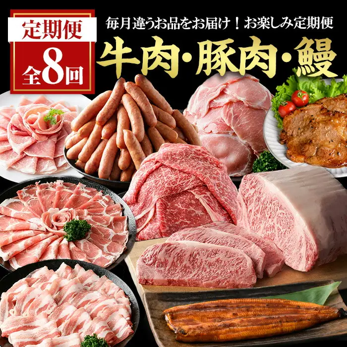 ＜定期便・全8回(連続)＞毎月違うお品をお届け！お楽しみ定期便(合計4.8kg以上) 牛肉 豚肉【ナンチク・西日本養鰻】 T48