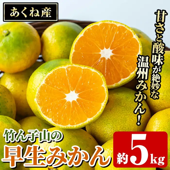 ＜先行予約受付中！2026年9月下旬以降順次発送予定＞数量限定！竹ん子山の早生みかん(約5kg) 国産 鹿児島県産 阿久根産 ミカン 蜜柑 みかん 柑橘 果物 フルーツ 温州みかん 早生みかん 果実 期間限定 【竹ん子山】akn097-02