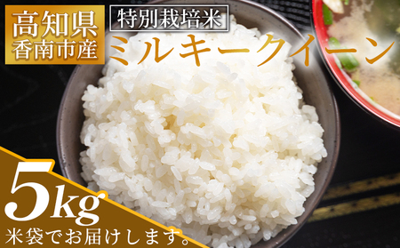 【令和8年8月下旬発送】特別栽培米 ミルキークイーン ５ｋｇ ミルキークイーン sr-0002