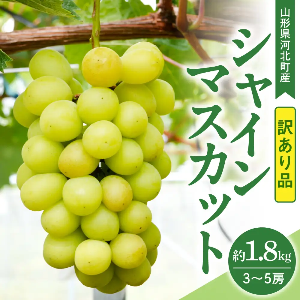 ぶどう シャインマスカット 1.8kg 3-5房 訳あり 令和8年産 ぶどう