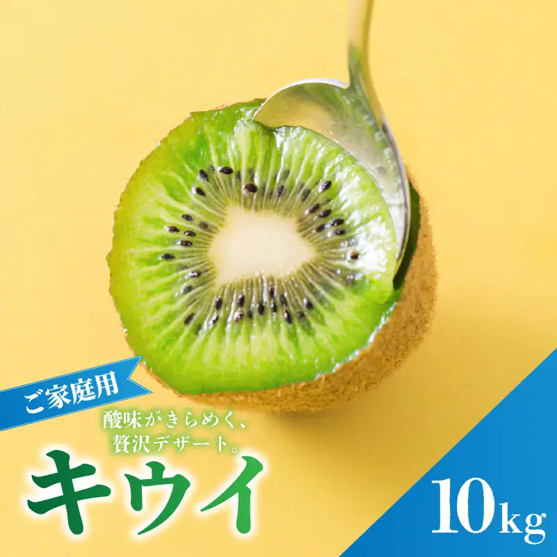 キウイフルーツ ヘイワード 10㎏ サイズ混合 家庭用 【先行予約 2026年10月下旬から発送】 | きうい 果物 キウイくだもの フルーツ おすすめ 人気 お取り寄せ グルメ ギフト 期間限定 数量限定 ご当地 愛媛県 松山市 【RNK0201】