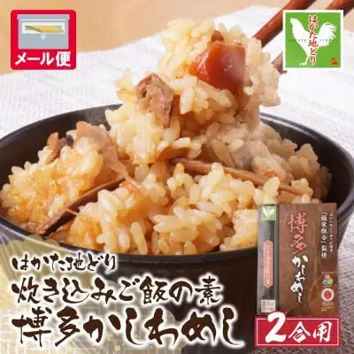 Y56-05 炊き込みご飯の素 博多かしわめし 2～3人前 (2合用 109g) 炊き込みご飯の素