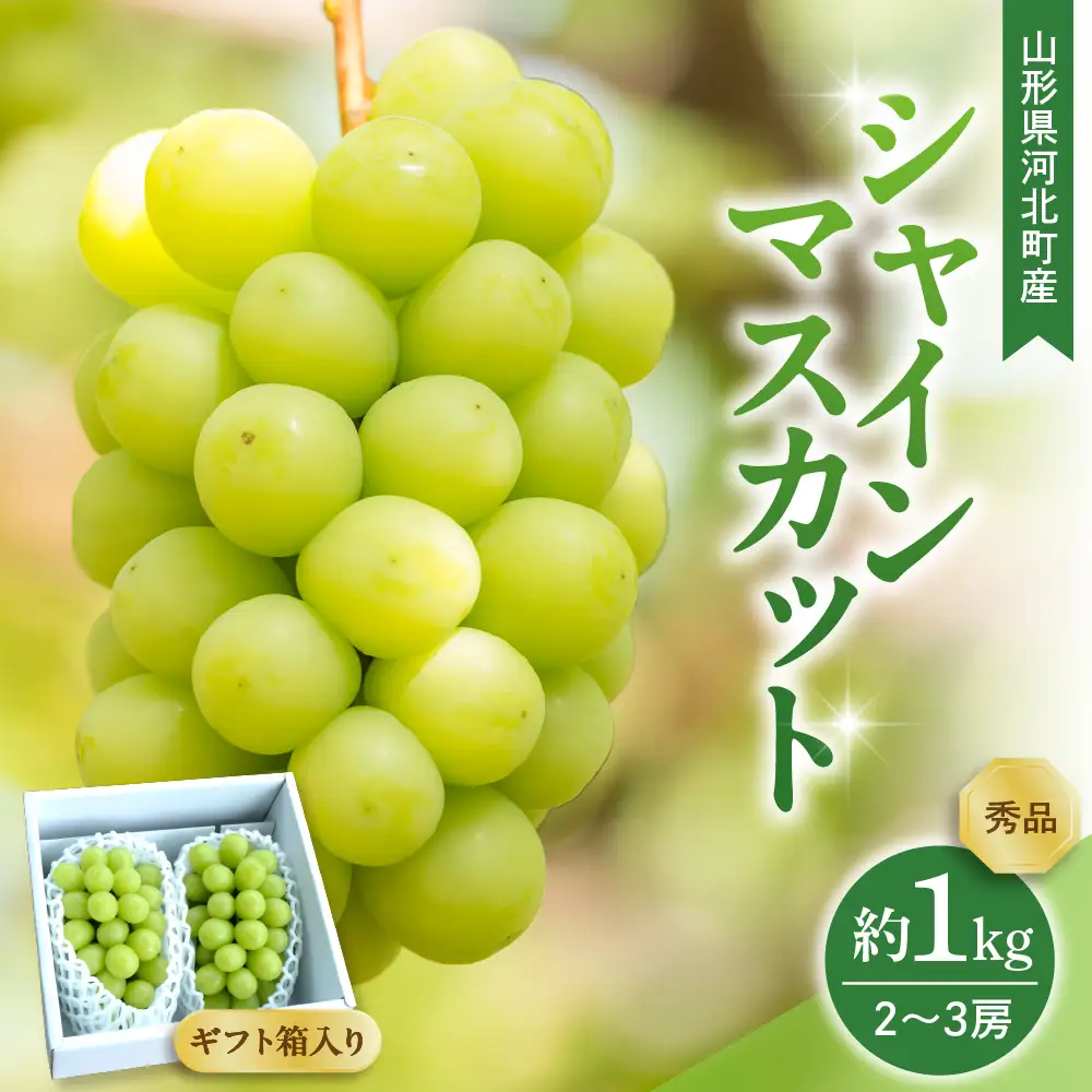 ぶどう シャインマスカット 2-3房 1kg 秀品 令和8年産 ぶどう