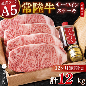 12ヶ月 定期便 サーロインステーキ 250g×4枚 12回 肉のイイジマ（DU-148）