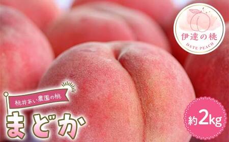 【2026年出荷分先行予約】福島県産 まどか 約2kg (6～8玉) 桃井あい農園 伊達の桃 桃 フルーツ 果物 もも モモ momo F21C-208