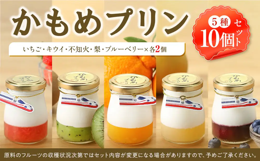 かもめプリン5種10個セット