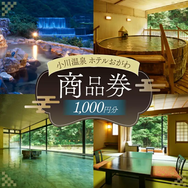 商品券 小川温泉 ホテルおがわ 1000円 1枚 [小川温泉開発 富山県 朝日町 34310497]
