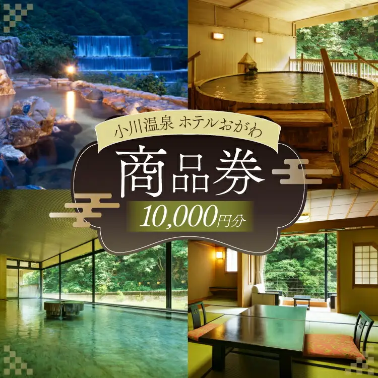 商品券 小川温泉 ホテルおがわ 1000円 10枚 計 10000円 [小川温泉開発 富山県 朝日町 34310495]