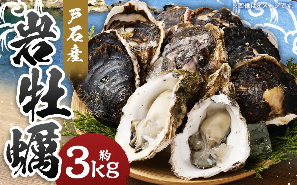 【指定日時必須】戸石産 岩牡蠣 計約3kg（生食用／カキナイフ付き）【2026年5月8日～8月31日迄発送予定】 牡蠣 カキ イワガキ 生牡蠣