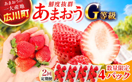 【2回定期便】いちご（あまおう）G等級 270g×4P / いちご[AFAB084]