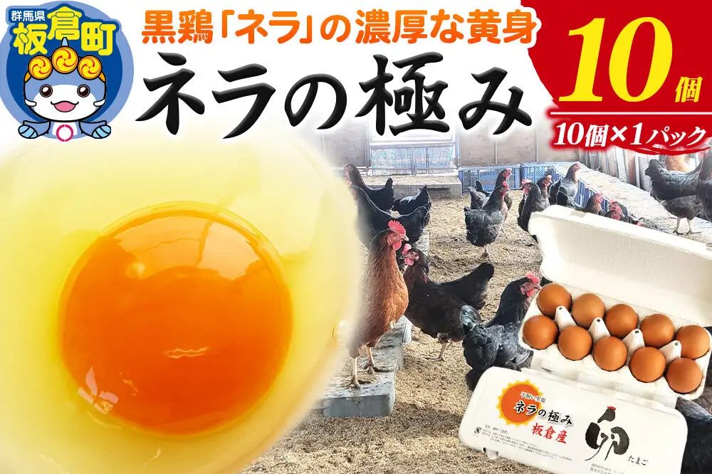 ネラの極み 卵 たまご 10個（10個×1パック）