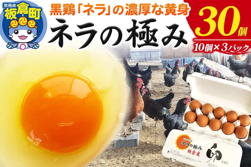 ネラの極み 卵 たまご 30個（10個×3パック）