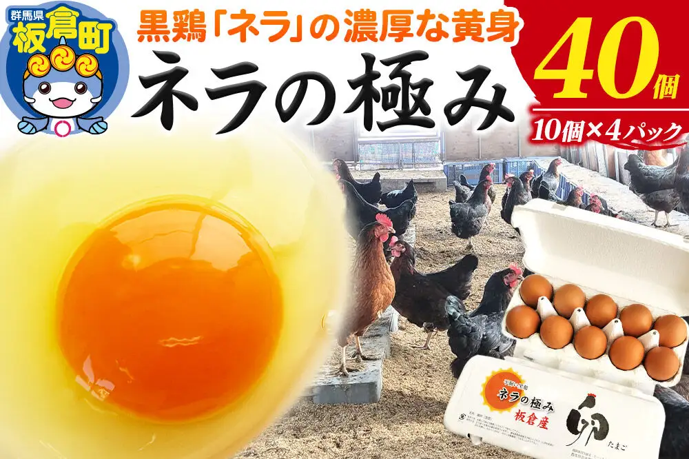 ネラの極み 卵 たまご 40個（10個×4パック） | 群馬県板倉町