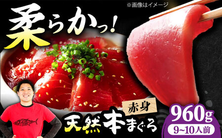 たね熟天然本まぐろ赤身(960g)[AOCE006]まぐろ