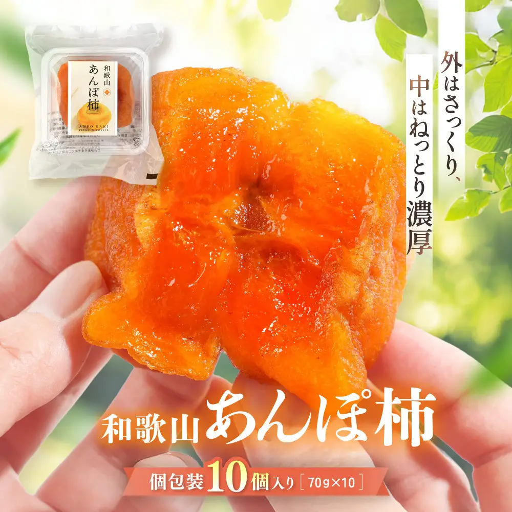 あんぽ柿 70g×10個 | 和歌山県九度山町 | ふるさと納税サイト「ふるなび」