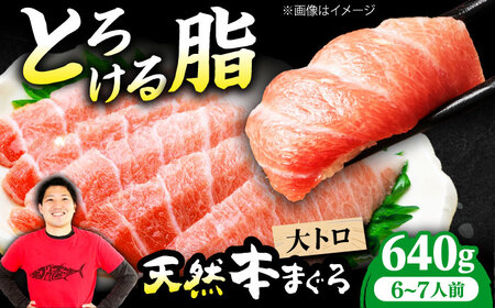 たね熟天然本まぐろ大トロ(640g)[AOCE007]まぐろ