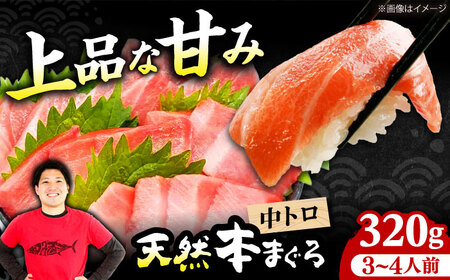 たね熟天然本まぐろ中トロ(320g)[AOCE009]まぐろ