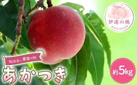【2026年出荷分先行予約】福島県産 あかつき 約5kg (15～20玉) 桃井あい農園 伊達の桃 桃 フルーツ 果物 もも モモ momo F21C-207