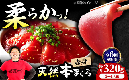 【全6回定期便】たね熟天然本まぐろ赤身(320g)[AOCE014]マグロ