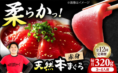 【全12回定期便】たね熟天然本まぐろ赤身(320g)[AOCE015]マグロ