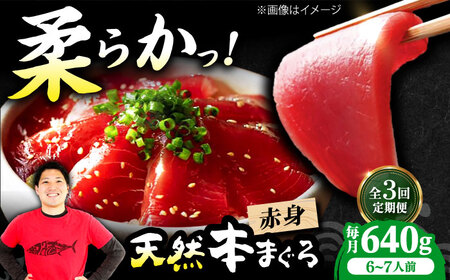 【全3回定期便】たね熟天然本まぐろ赤身(640g)[AOCE016]マグロ