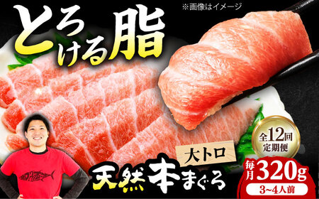 【全12回定期便】たね熟天然本まぐろ大トロ(320g)[AOCE024]マグロ