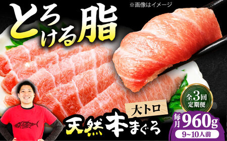 【全3回定期便】たね熟天然本まぐろ大トロ(960g)[AOCE028]マグロ